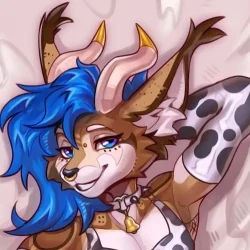 Flare's Dakimakura Body Pillow Case (SFW/NSFW)