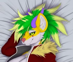 [PRE-ORDER] Cisco Daki Combo Bundle [NSFW]